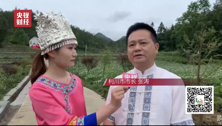 微信图片_20190617134644_WPS图片.png